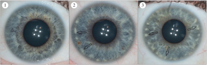 Figure 6.