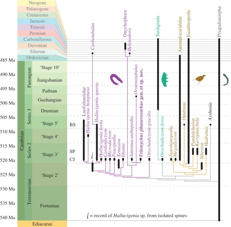 Figure 2.