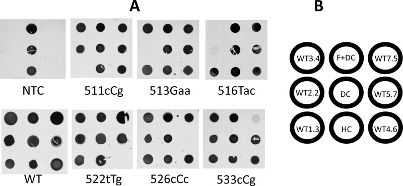 Fig 3