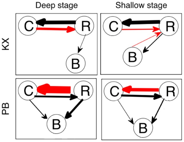 Figure 8