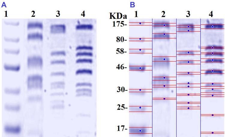 Figure 10