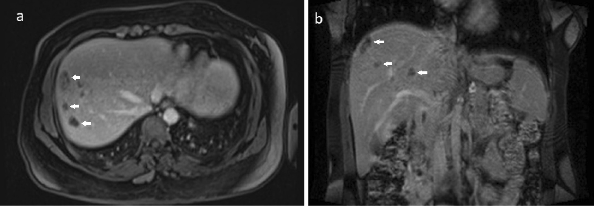 Fig. 3 