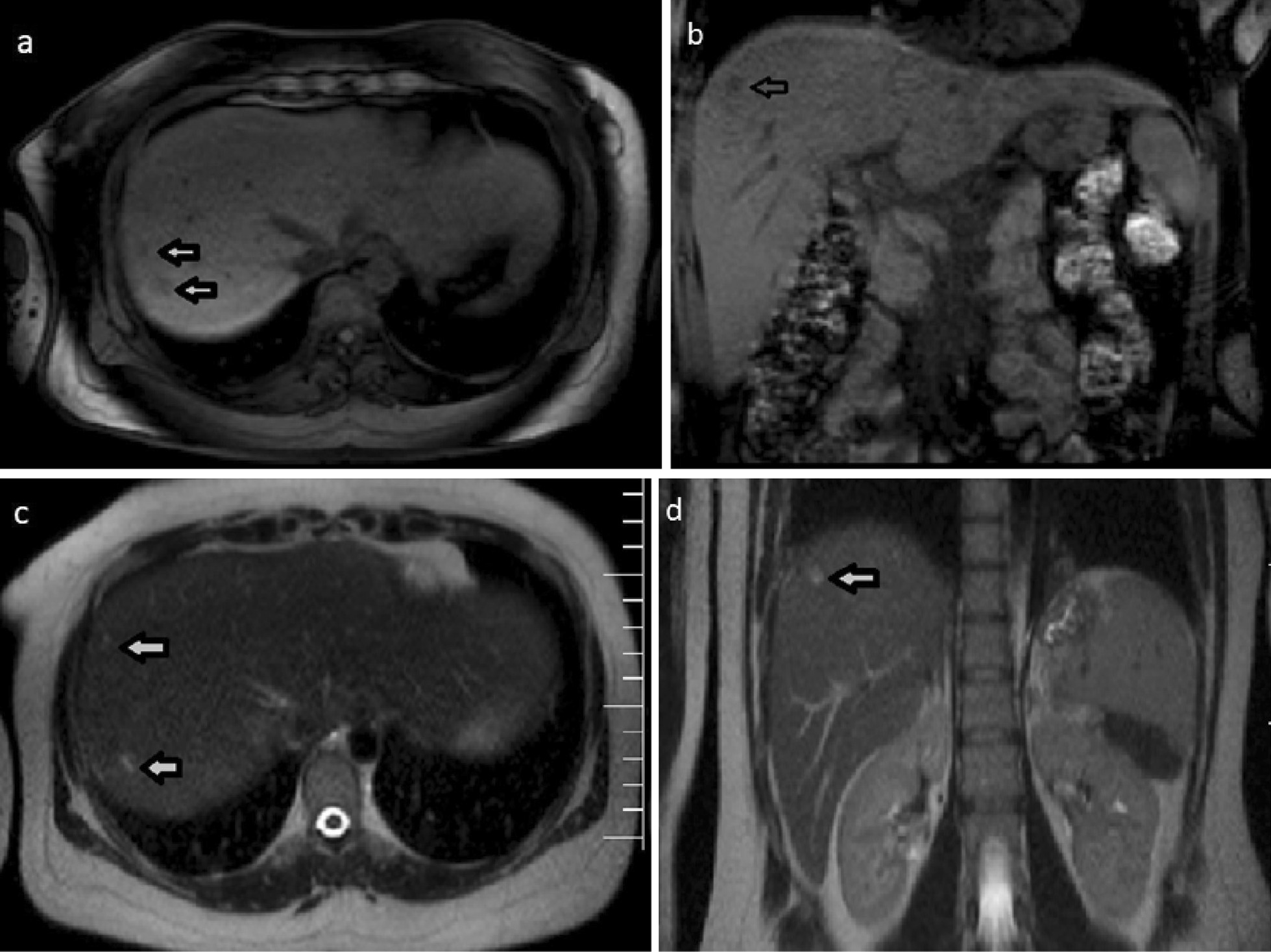 Fig. 2 