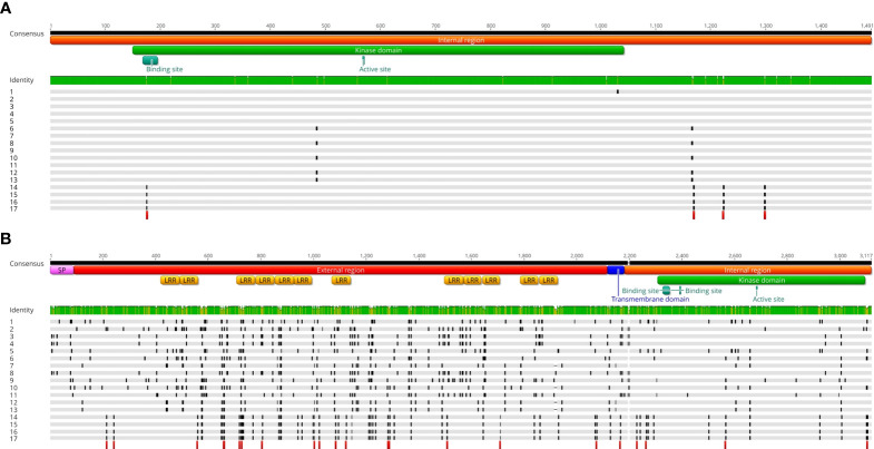 Figure 3