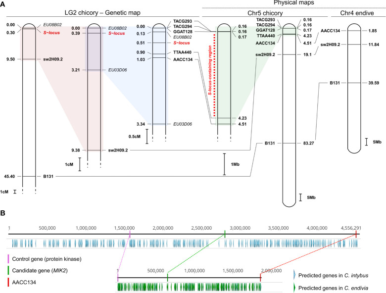 Figure 2