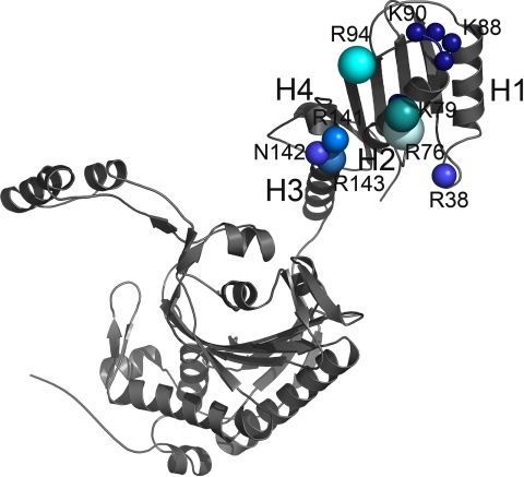 FIGURE 7.