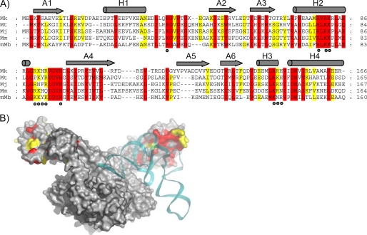 FIGURE 1.