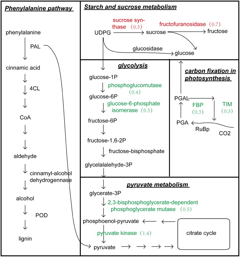 Fig 4