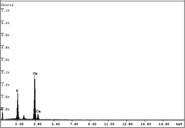 Figure 13.