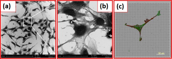 Figure 15.