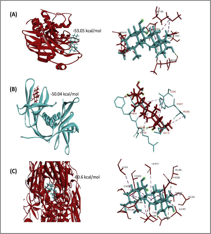 Fig. 2