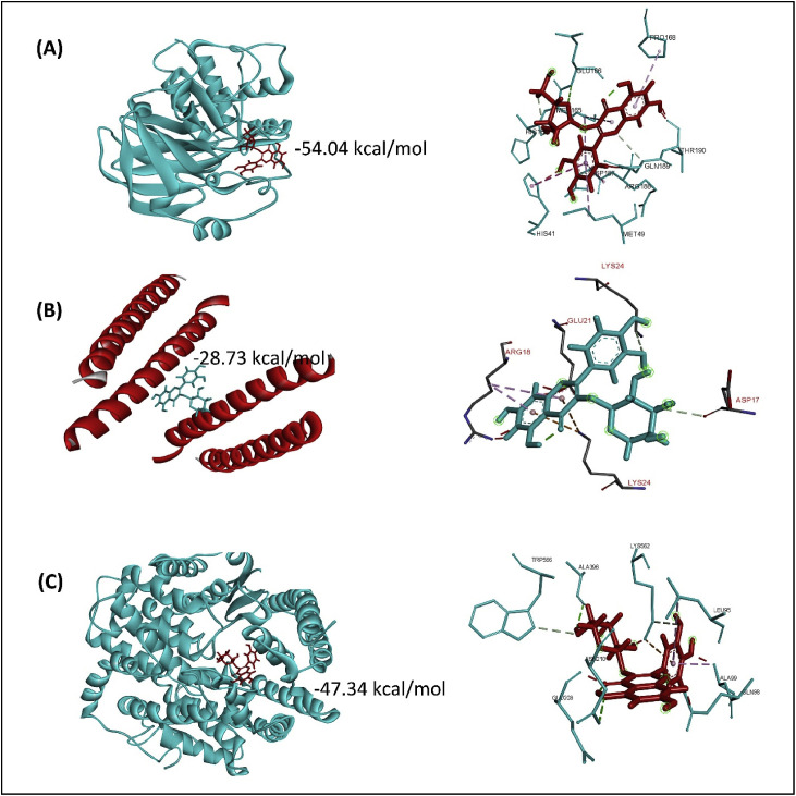 Fig. 3