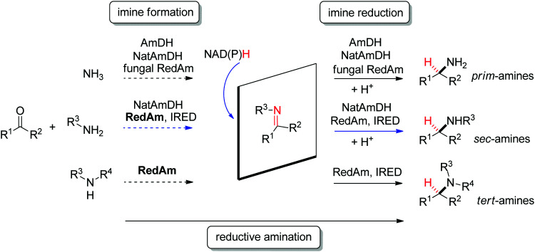 Scheme 12