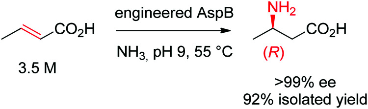 Scheme 18