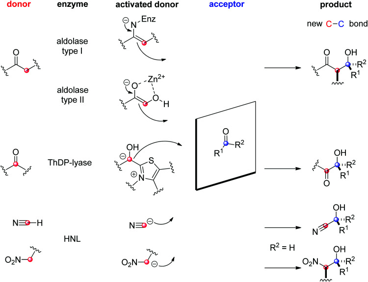 Scheme 22