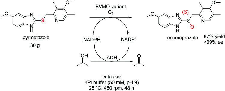 Scheme 28