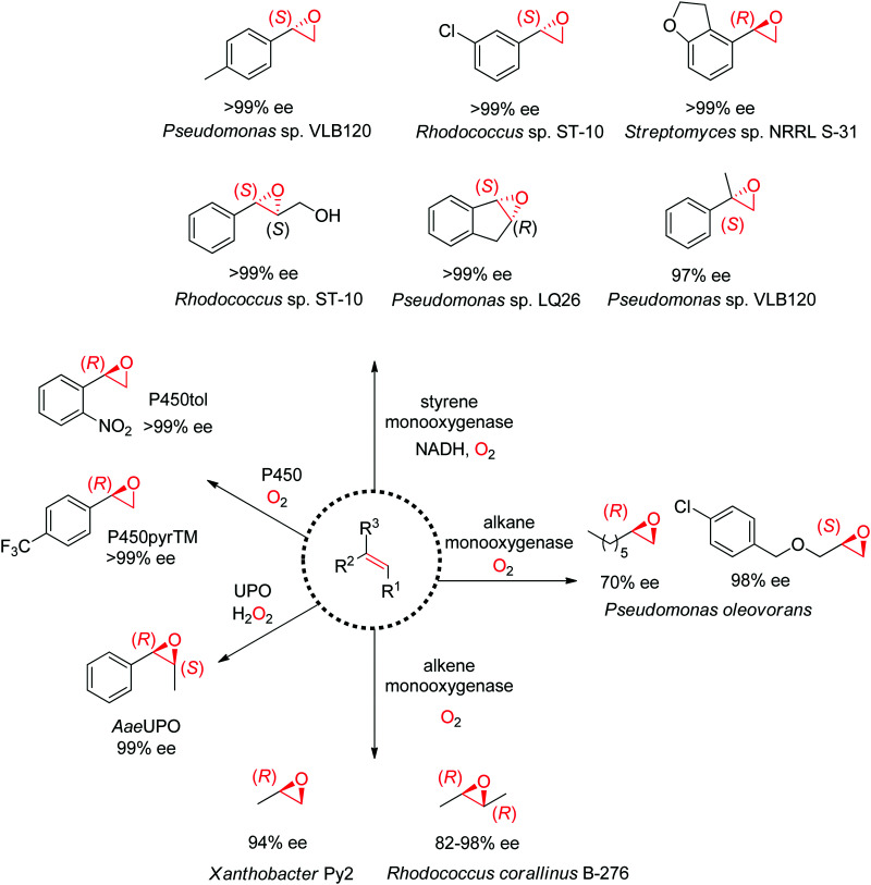 Scheme 19