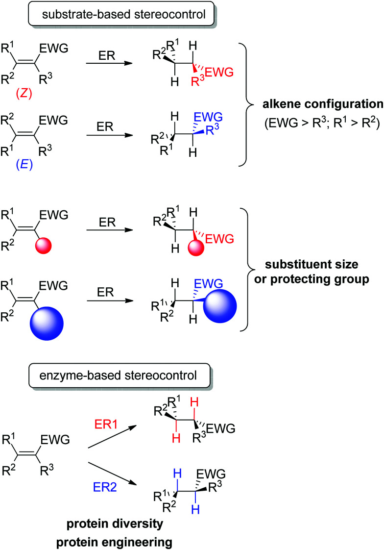 Scheme 4