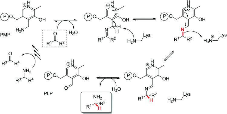 Scheme 15