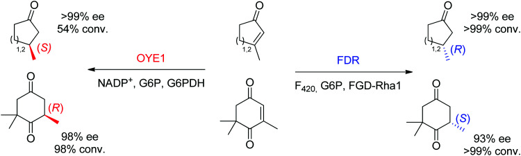 Scheme 8