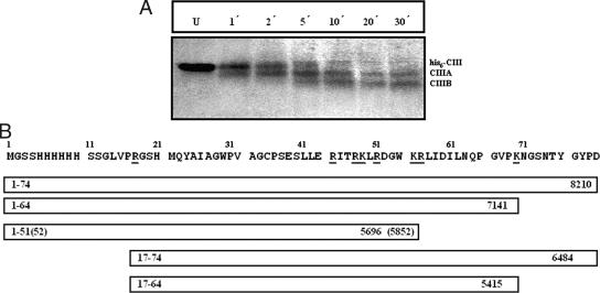 FIG. 8.