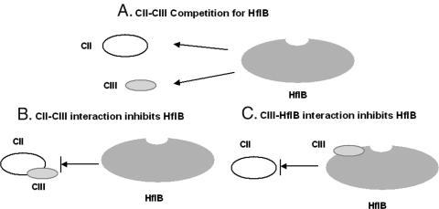 FIG. 10.