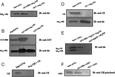 FIG. 9.