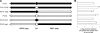FIG. 1.