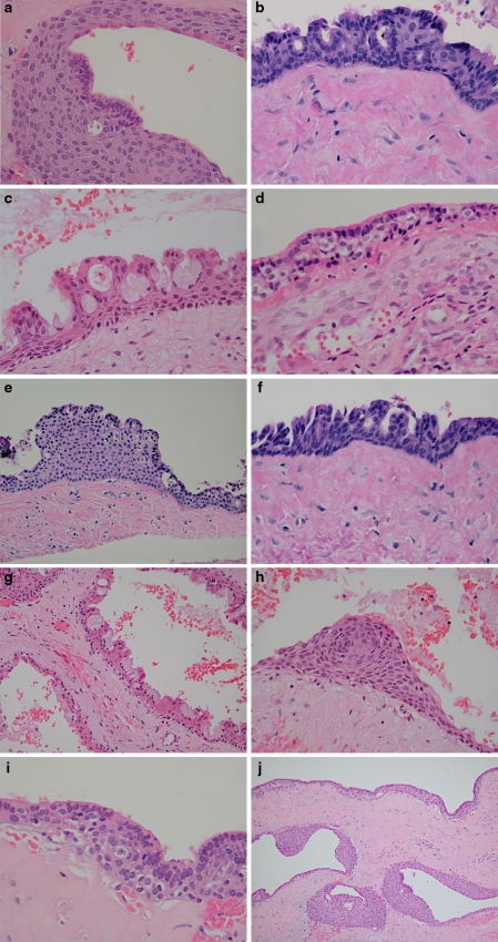 Fig. 7