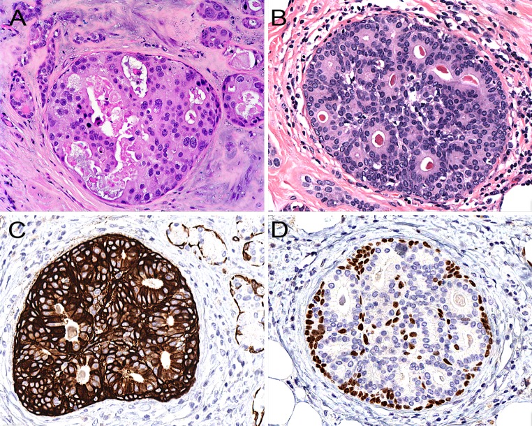 Fig. 7