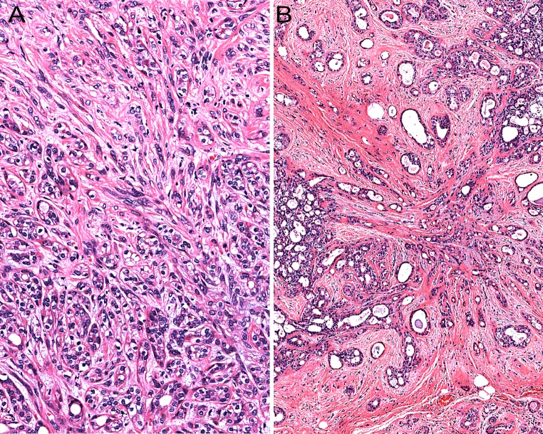 Fig. 6