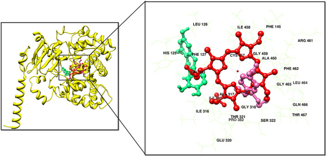 Figure 4