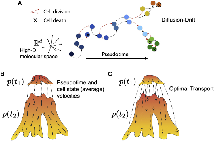 Figure 3