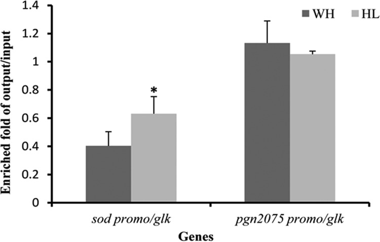 Fig 5