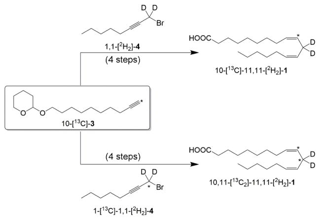 Scheme 3