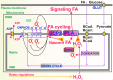 <b>FIG. 3.</b>