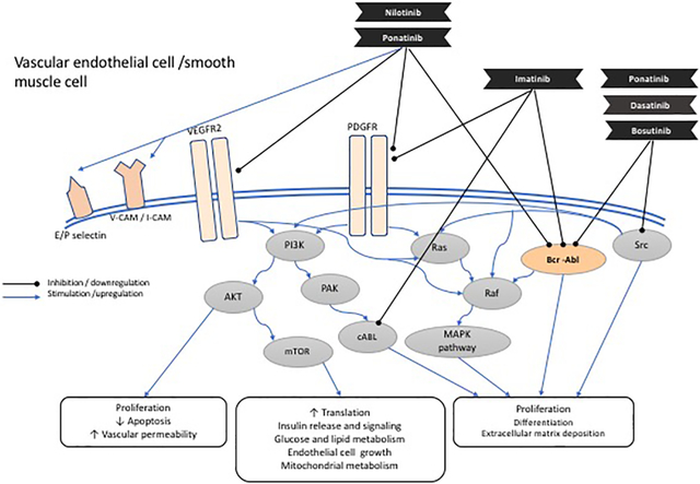 graphic file with name nihms-1548919-f0001.jpg