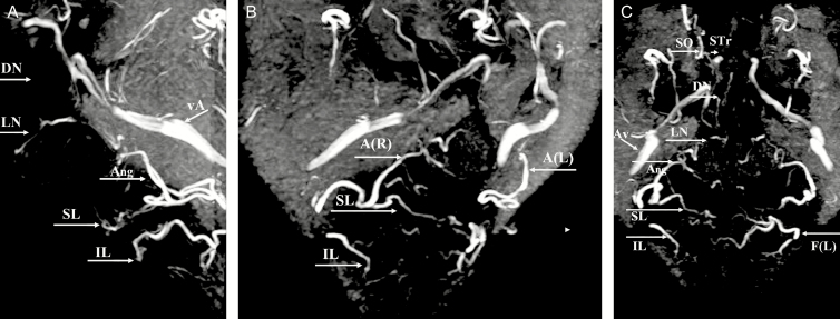 Figure 4.