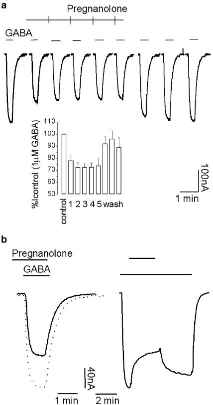 Studies on the mechanisms of action of picrotoxin, quercetin and ...