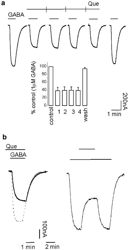 Studies on the mechanisms of action of picrotoxin, quercetin and ...