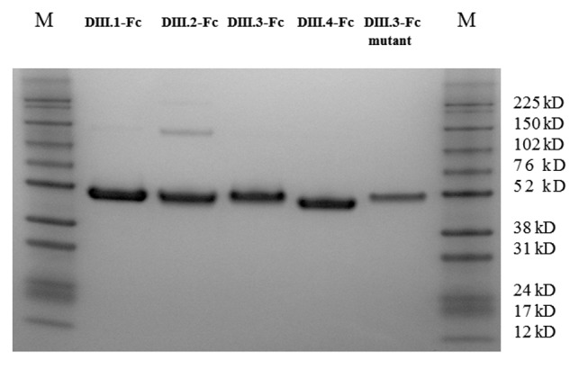 Figure 1. 