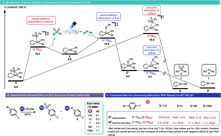 Scheme 5