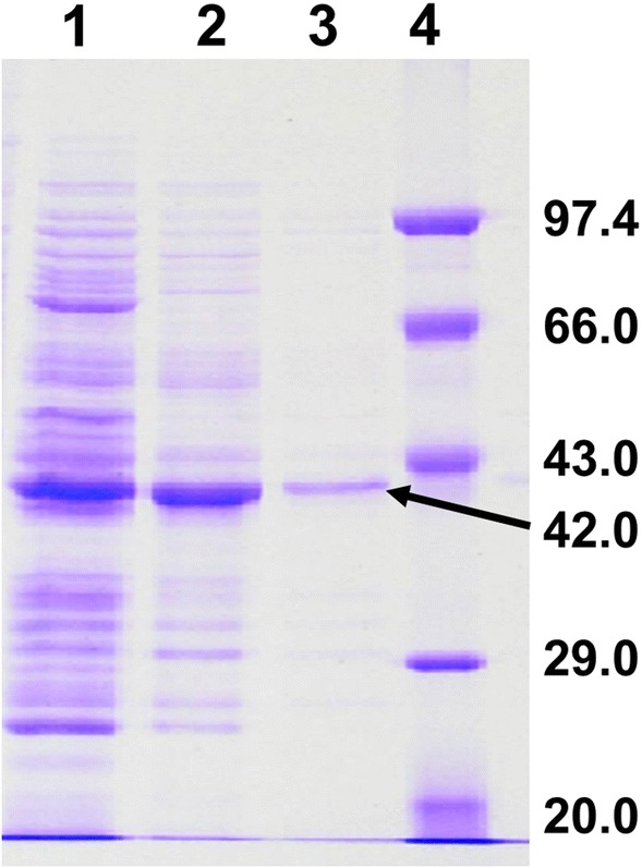 Fig. 1