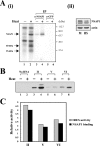FIG. 7.