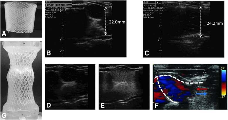 FIG. 8.