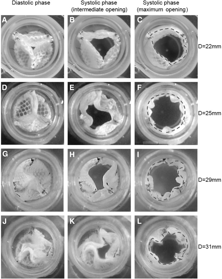 FIG. 6.