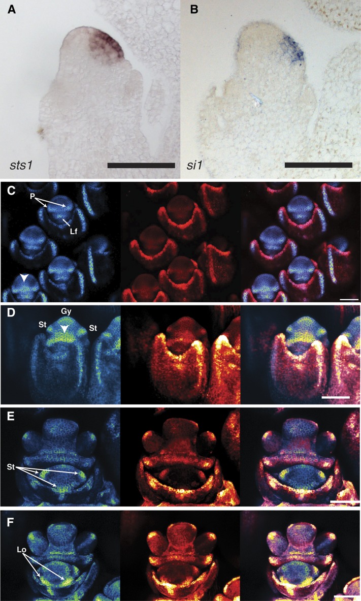 Figure 4.