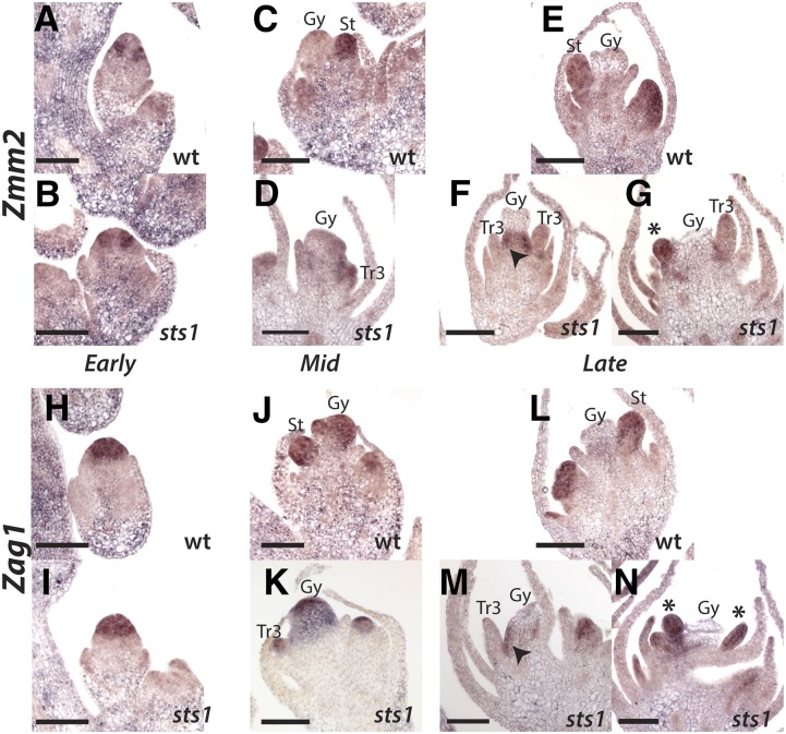 Figure 7.