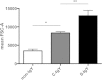 FIG 6