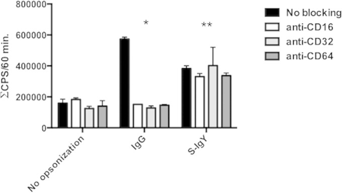 FIG 2